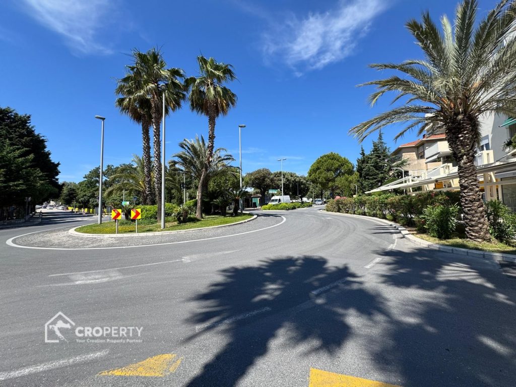 1myImage (46)